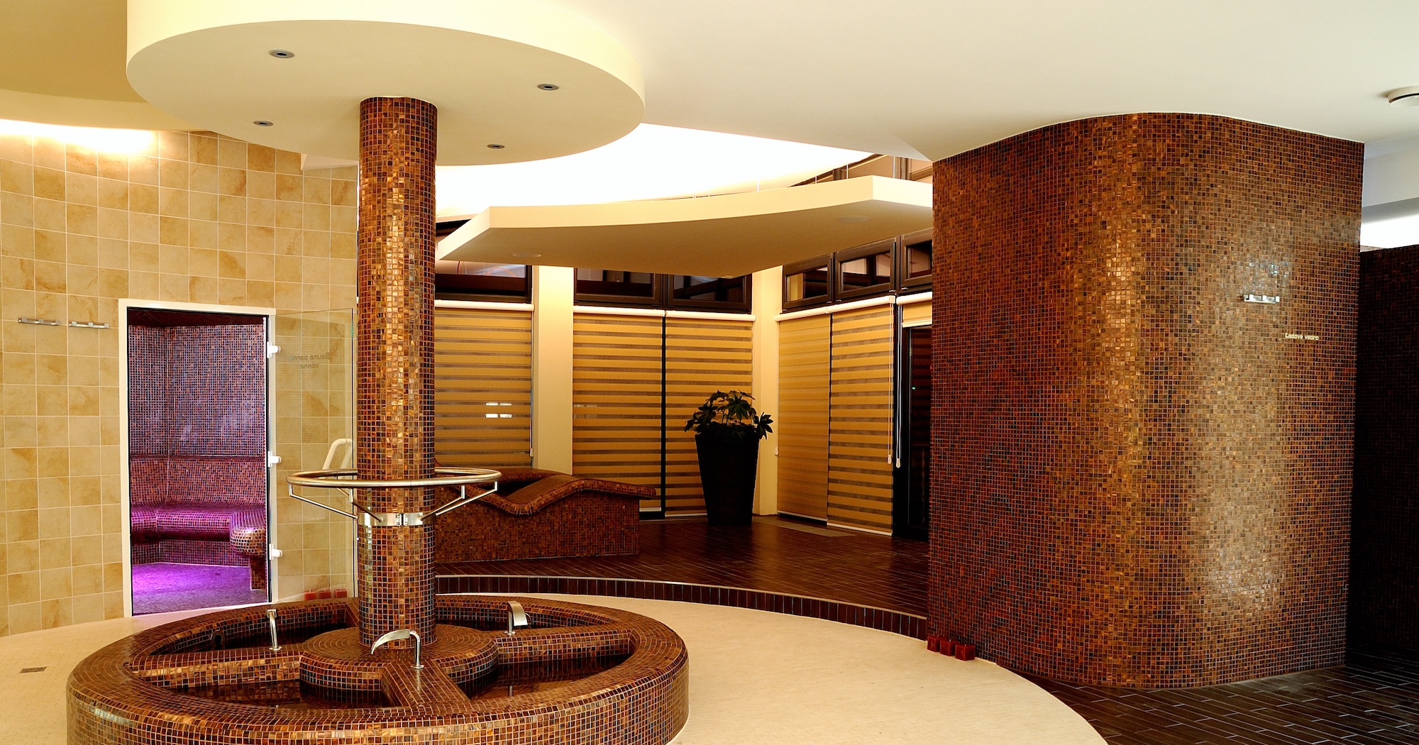 Wellness – fitness